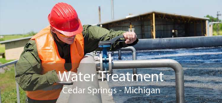 Water Treatment Cedar Springs - Michigan